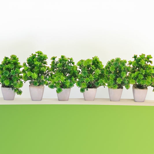 Pack of 6 Artificial Plants